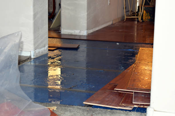 Professional Basement Flood Cleanup technician working in Renner, SD